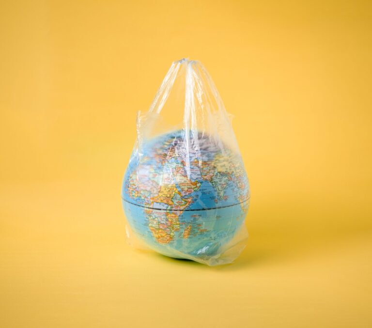 Il mondo in sacchetto di plastica