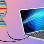 Illustrazione del DNA collegato al PC