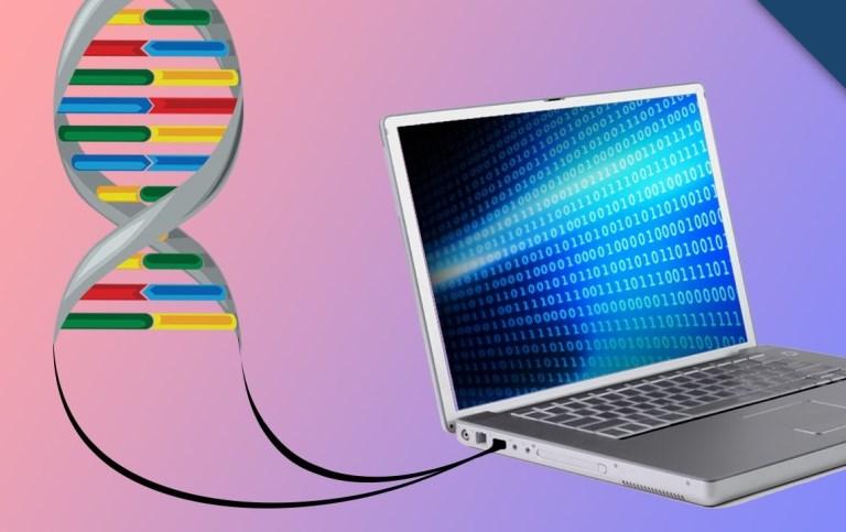 Illustrazione del DNA collegato al PC