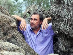 Uomo in posa tra due tronchi d'albero