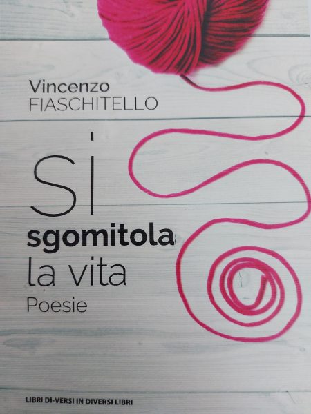 Libro di Vincenzo Fiaschitello