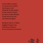 copertina libro di Riccardo santarelli - Tutto secondo gli accordi