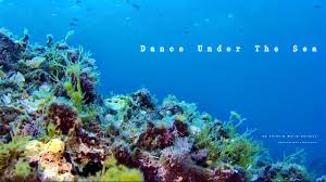Video Danza-sotto-il-mare