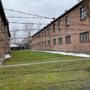 filo spinato nel campo di concentramento di Auschwitz