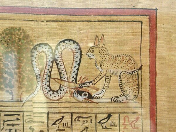 il gatto e il serpente simbologia