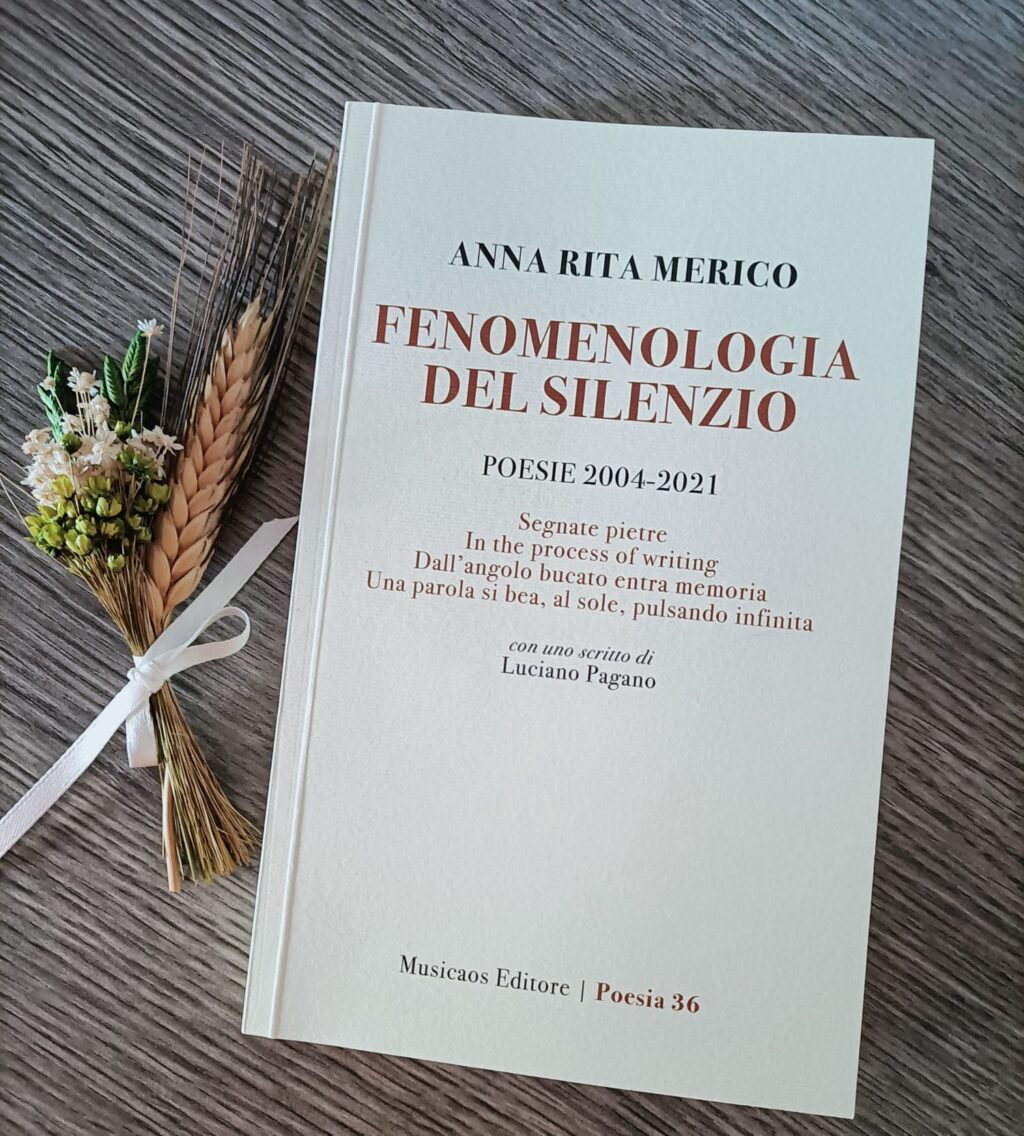 Un libro di Anna Maria Merico