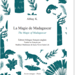 The Magic of Madagascar di Abhay Kumar
