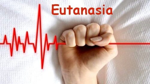 Eutanasia