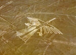Nazca Lines,Condor
